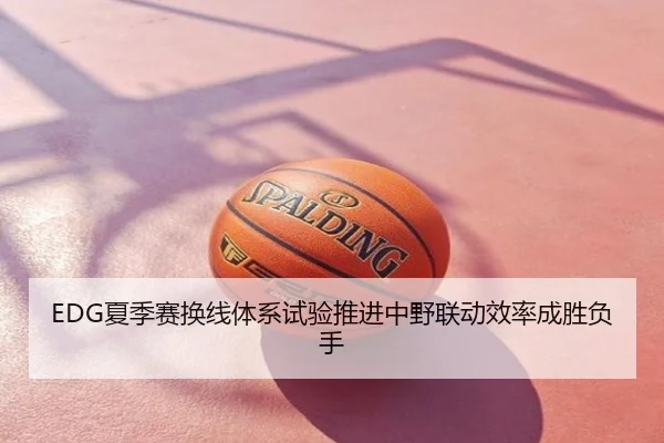 EDG夏季赛换线体系试验推进中野联动效率成胜负手